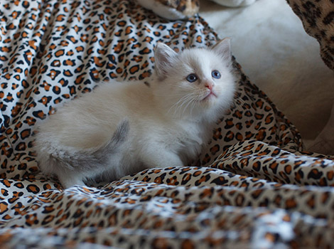 Valentina am 17.5.2015